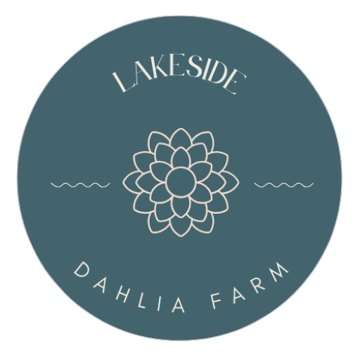 Lakeside Dahlia Farm